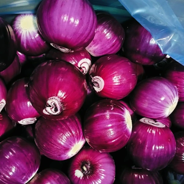 Huaang Qida Emalı Sabit Keyfiyyətlə Bazar Payını Qazanır