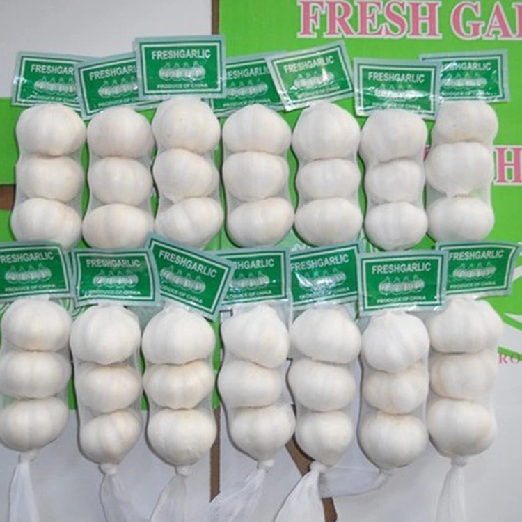 Niyə Premium Fresh Sarımsaq Keyfiyyətli Alıcılar üçün Üstün Seçimdir?
