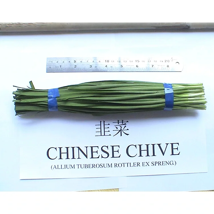 Niyə Farm Fresh Chinese Chives Asiya mətbəxində geniş istifadə olunur?