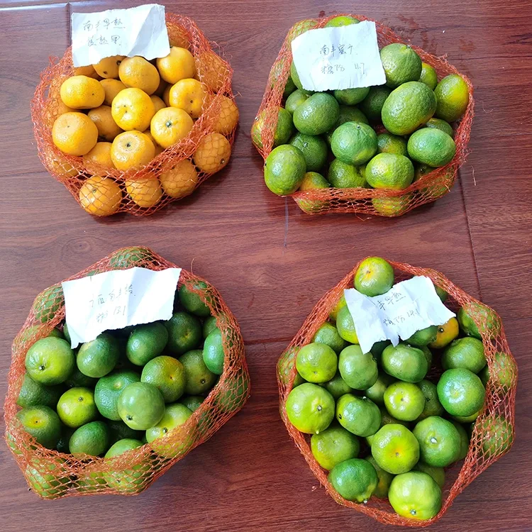Təzə Bal Mandarin