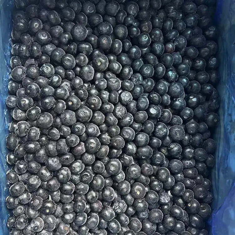 Dondurulmuş Blueberry Premium IQF Blueberry