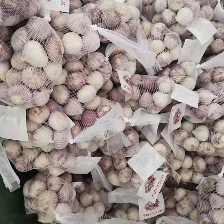 Yüksək keyfiyyətli tək mixək sarımsaq