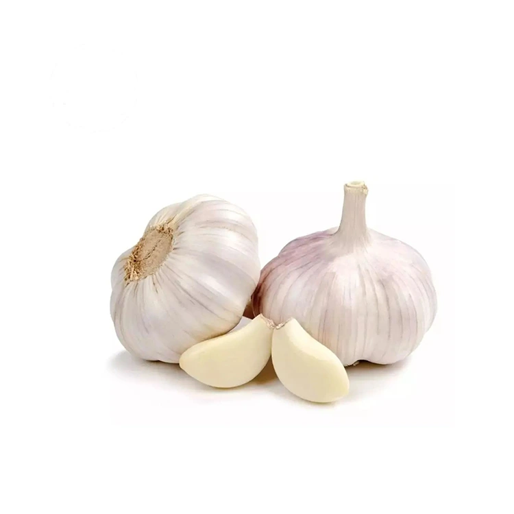 Premium Möhkəm və Dolğun Normal Ağ Sarımsaq