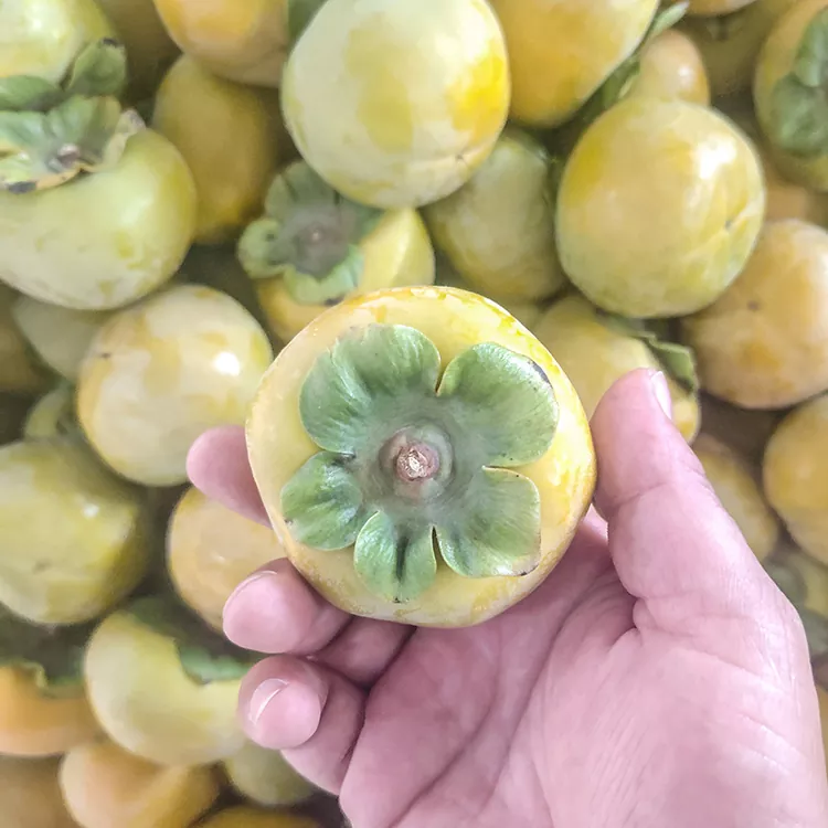 Premium təzə xırtıldayan xurma