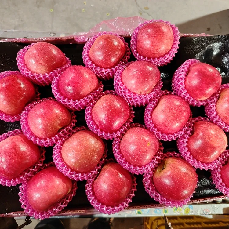 Üstün təzə Jiguan almaları